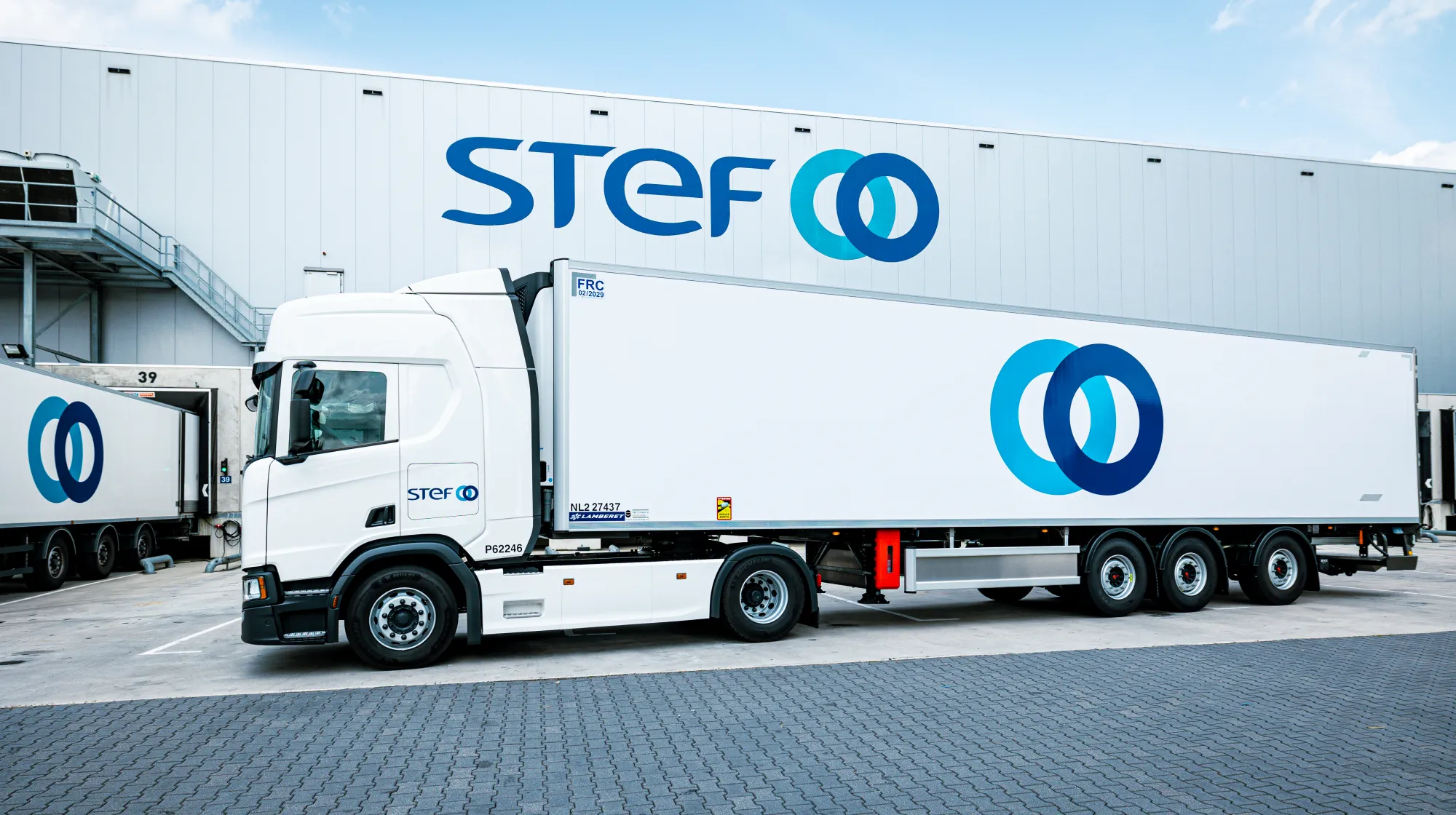 STEF logo